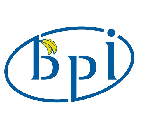 BANANA PI