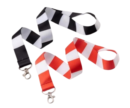 Lanyard de Personal VA21 Milesight