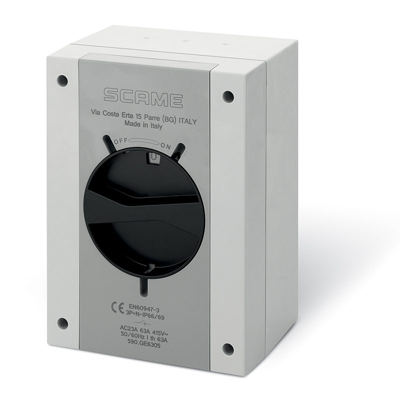 Interruptor - seccionador de maniobra 125A 3P 300X220X120MM marca Scame (Italia)