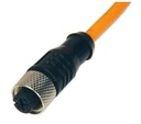 Cable con conector M12 de 4 pines 2 metros